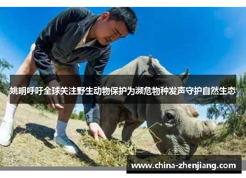 姚明呼吁全球关注野生动物保护为濒危物种发声守护自然生态 姚明呼吁全球关注野生动物保护为濒危物种发声守护自然生态