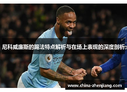 尼科威廉斯的踢法特点解析与在场上表现的深度剖析