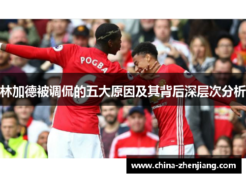 林加德被调侃的五大原因及其背后深层次分析 林加德被调侃的五大原因及其背后深层次分析