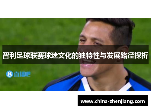 智利足球联赛球迷文化的独特性与发展路径探析 智利足球联赛球迷文化的独特性与发展路径探析